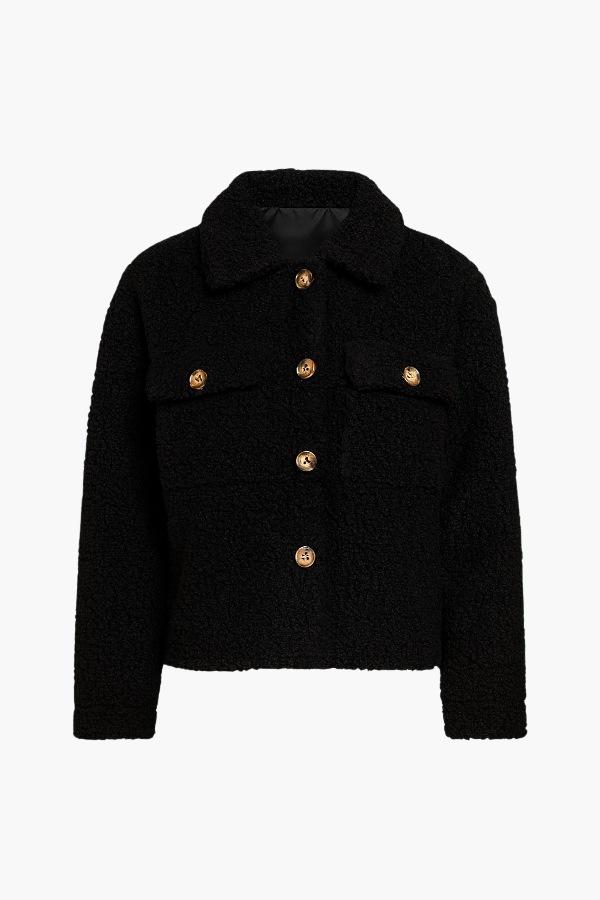 Dakota Teddy Shacket